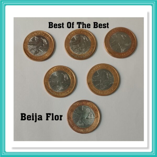 Moeda 1 Real 2019 Comemorativa Do Beija Flor. 1Unidade