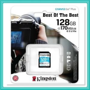 Cartão De Memória Kingston 128gb Canvas Go Plus 170mb/s